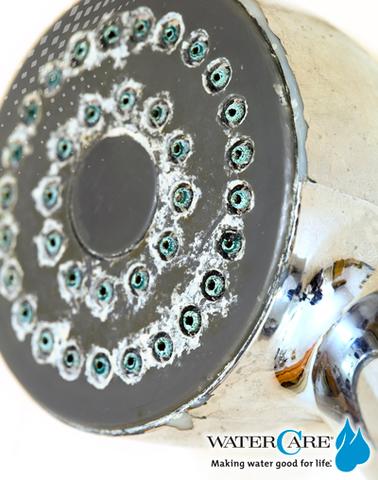 close up of shower head with scale build up